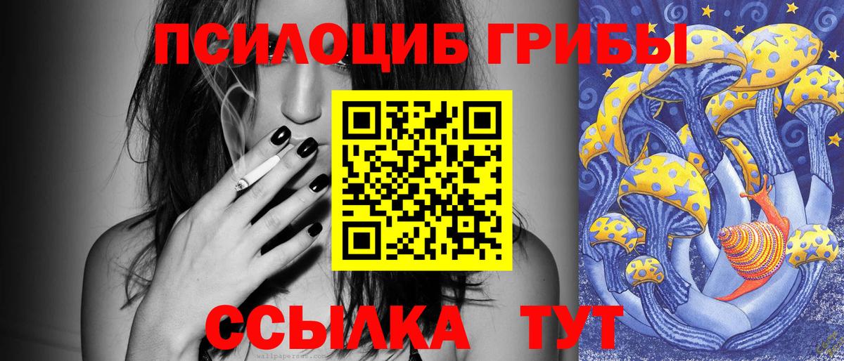 Галлюциногенные грибы Cubensis Шахты