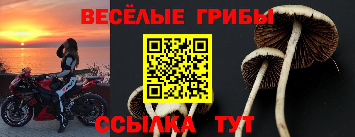Галлюциногенные грибы Magic Shrooms  Вход с VPN  наркотики  Шахты 